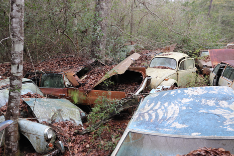 forgotten European and Japanese economy cars mingle with heaps of Detroit iron